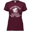 3067 Ladies' Extra Soft Triblend T-Shirt Thumbnail